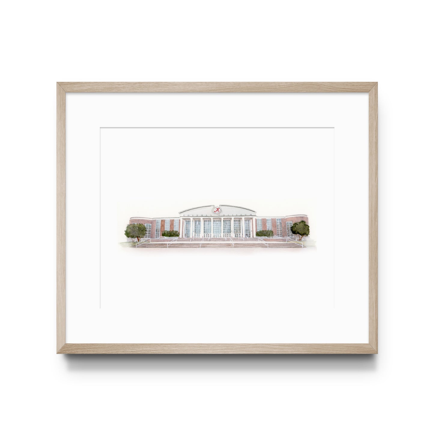 University of Alabama Coleman Coliseum Print