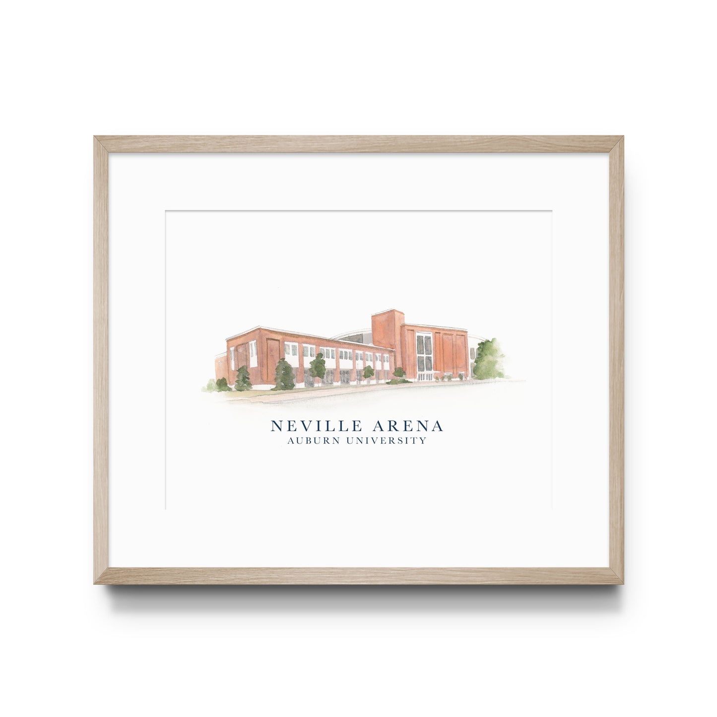 Neville Arena Print