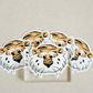 Auburn University Aubie Sticker