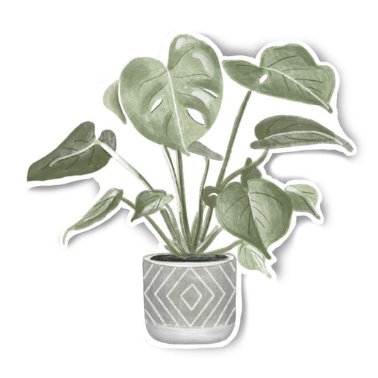 Potted Monstera Sticker